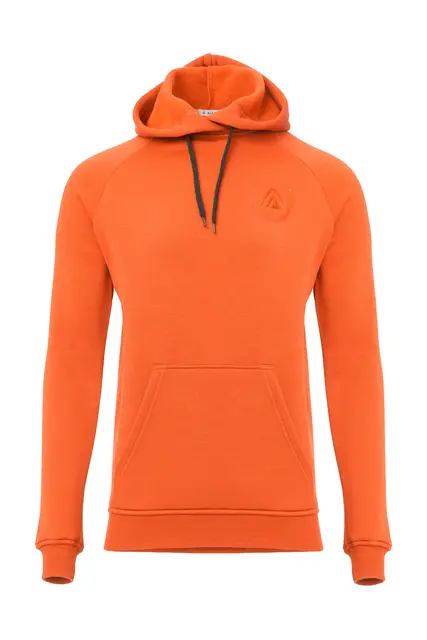 FleeceWool V2 Hoodie M's 